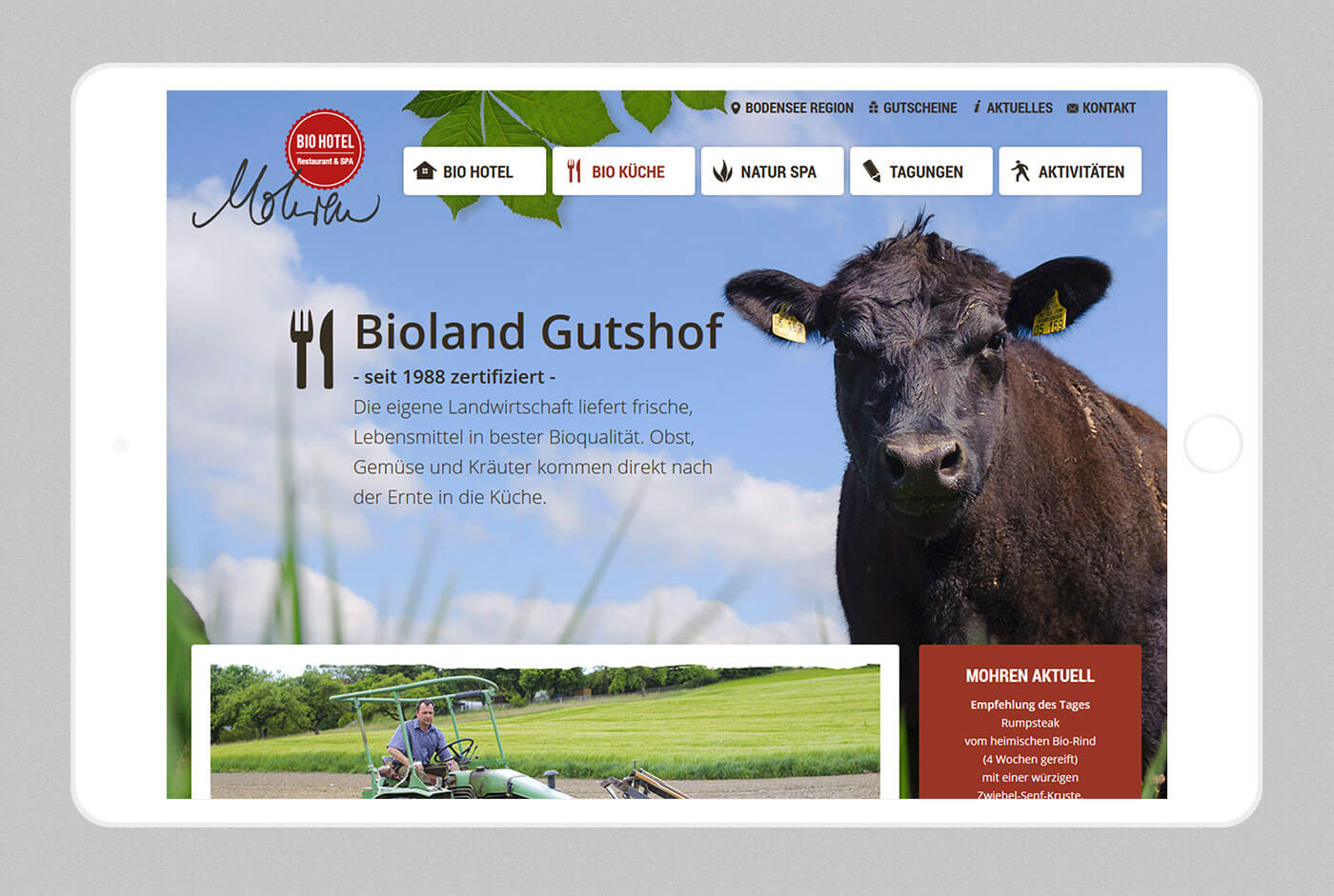 marketing agentur stuttgart - dt media group - biohotel mohren