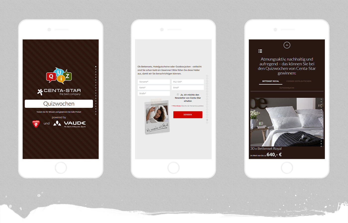web designer stuttgart - dt media group - centa star